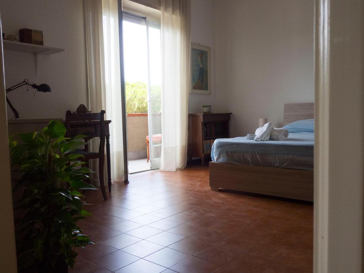 Ciciuliu Apartment CTA